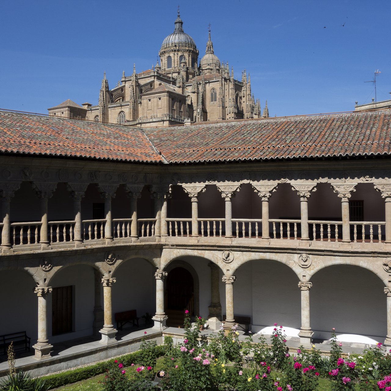 Imagen de te interesa en escuelas